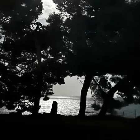 Meje Seafront